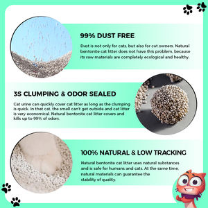 OEM الفلبين ماليزيا متعددة العطور خالية من الغبار قوية تتكتل الساحة بارا جاتوس الكرة على شكل بنتونيت - Product Image 3