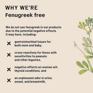 Suplemento de lactancia de semilla de hinojo vegano de etiqueta privada con soporte de fenogreco cápsulas de lactancia de Moringa para leche materna - Product Image 2