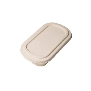 PFAS Free Disposable Food Paper Box Compostable Bento Box Biodegradable Takeaway Food Box