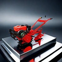 Mini motoculteur diesel haute productivité pour la culture des fraises et des tomates