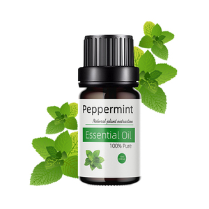Venta al por mayor de aceite esencial de menta pura de etiqueta privada 100% natural para aromaterapia cuidado de la piel ambientador y limpieza - Product Image 1