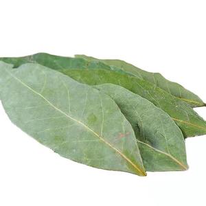 Foglie di <span class=keywords><strong>Alloro</strong></span> Essiccate di Grado Alimentare Yue Gui, Foglie di <span class=keywords><strong>Alloro</strong></span> Naturali Pure per l'Esportazione - Product Image 4