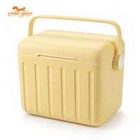 Cedar Space 6L 13L 18L Hard Cooler Box Geïsoleerd Waterdicht Draagbaar voor Kamperen Picknick Buiten Gebruik Aangepast Logo