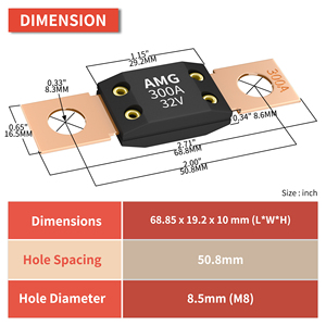 Cầu Chì AMG 32V DC Cho Xe Hơi Hàng Hải Xe Hơi Năng Lượng Bảo Vệ 100A 125A <span class=keywords><strong>150A</strong></span> 175A 200A 250A 300AMP Cầu Chì Lớn Lưỡi Xuống Bu Lông - Product Image 2