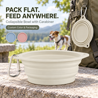 Vente en gros, personnalisable, bol pour chien en silicone pliable, portable, arrondi, manuel, 2 en 1, moderne, solide, pour les voyages