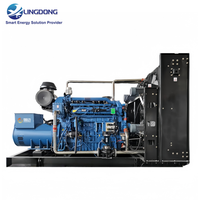 Groupe électrogène de secours au gaz naturel 300 kW 375 kVA refroidi par eau, générateur CNG LNG PNG avec moteur Yuchai YC6T500N-D30 pour l'irrigation
