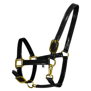 Harnais en cuir verni, couvre-cage pour <span class=keywords><strong>cheval</strong></span> en cuir microfibre, largeur du <span class=keywords><strong>sangle</strong></span> 26 mm, LT4008, Chine - Product Image 3