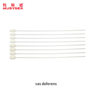 อุปกรณ์ผสมเทียมสุกร มูซิเดอร์ สายสวนใส่สเปิร์มสุกร สำหรับฟาร์มสุกร - Product Image 5