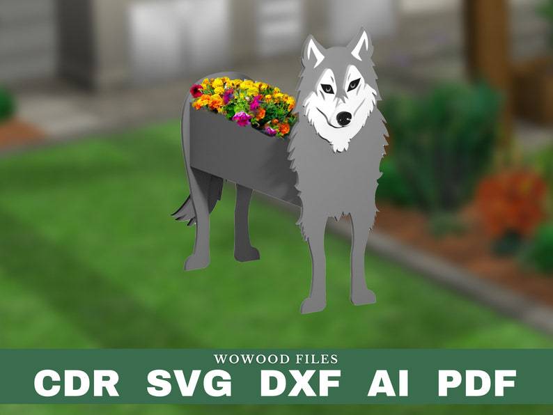Grey Wolf