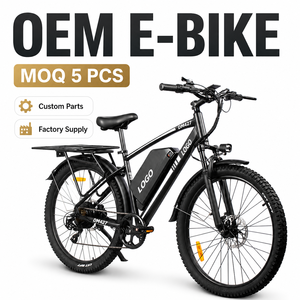 Vélo de montagne électrique DM427 en gros pour la fabrication OEM, moteur de moyeu arrière 750W, batterie lithium 48V, EMTB - Product Image 1