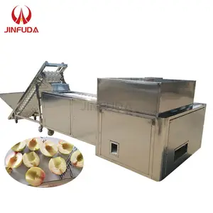 Máquina automática de deshuesador de albaricoque de cereza de fruta, máquina removedora de núcleo de ciruela de cereza de albaricoque