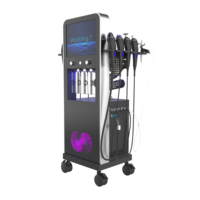 Appareil de soin du visage à jet d'oxygène 10-en-1 pour médecine esthétique, compatible EU/UK/US, tête en acier inoxydable