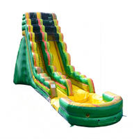 Toboggan aquatique gonflable vert de 19 pieds avec piscine