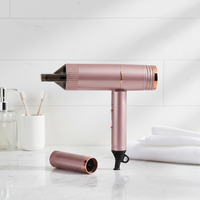 Sèche-cheveux professionnel haute puissance 2000W à ionisation rapide avec buse concentratrice pour la maison, les hôtels et l'extérieur
