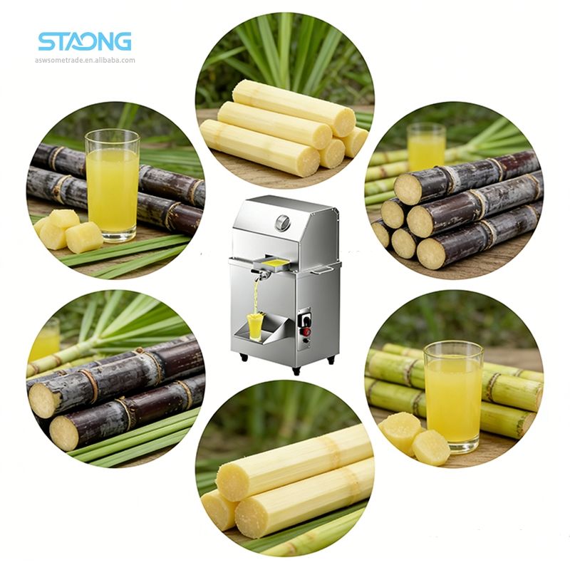 Rubber Feet Tabletop Sugarcane Juicer for Wet Market Floors - Solve ...
