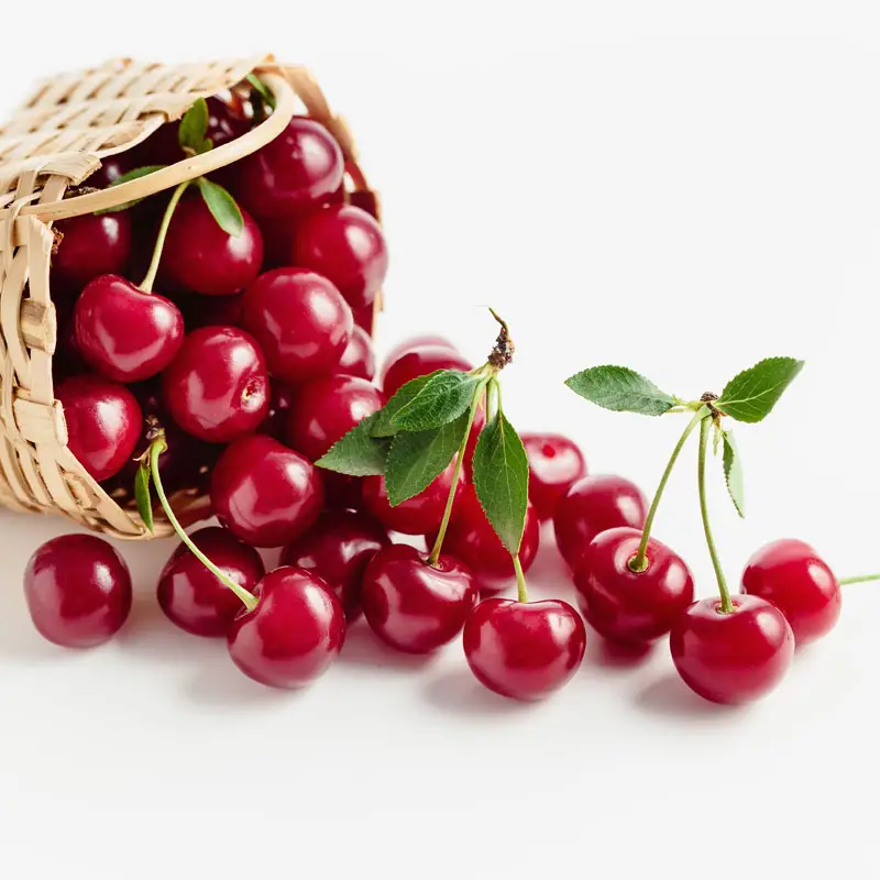 Acerola Cherry Fruit Powder VC1-25% Cherry extract
