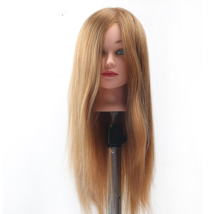 cosmetology mannequins human hair