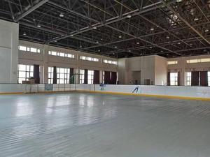 Xây dựng sân băng của riêng bạn/băng tổng hợp giá rẻ cho sân băng/sân trượt băng nhân tạo - Product Image 3