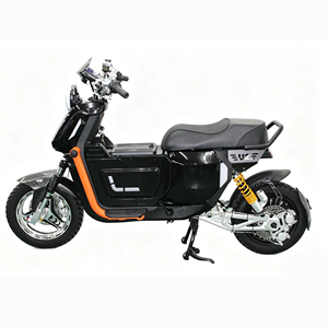 Moto électrique NIU <span class=keywords><strong>U2</strong></span> modifiée sur mesure, haute vitesse, tout-terrain, pour le marché russe - Product Image 3