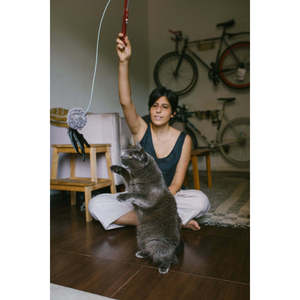 Tango Fishing Rod For <b>Cats</b> With Feather And Pom Pom <b>Toy</b> 30cm Extendable Handle <b>Interactive</b> Pet <b>Toy</b> - Product Image 5