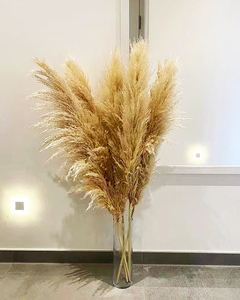 ARGE-Hierba de las pampas secas naturales para arco de boda, decoración de estilo bohemio de 120cm de alto, gran oferta - Product Image 6