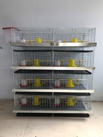 Nouvelle cage à poulets de chair Ankong de type H à 3-4 niveaux en treillis métallique galvanisé à chaud avec un design facile à utiliser
