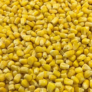 Großhandel IQF Frozen Sweet Corn Lieferant Maiskorn