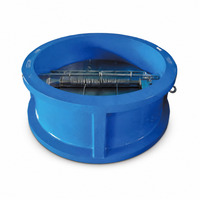 Clapet anti-retour à double plaque en fonte ductile pour conduite d'eau de protection incendie