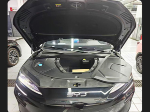 Auto Fronthaube Aufbewahrung sbox Fall für byd Song plus ev Dichtung 06 Zubehör Auto Kits Teile Motor - Product Image 4