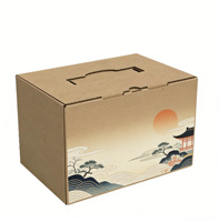 Boîte en carton ondulé écologique imprimée UV, personnalisée, en gros, fabriquée en Chine