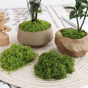 Musgo Artificial Timo de 10 cm o Menos, Flores de Nailon para Decoración de Micropaisajes - Product Image 1