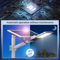 Lampu Jalan Tenaga Surya LED All in Two Tahan Air IP65 dari Paduan Aluminium 10w 20w 30w 50w 100w 150w 200w 300w untuk Luar Ruangan