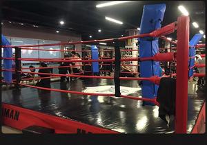 Ganas แหวนมวยมาตรฐานของผู้ผลิตกวางโจว,ชุด <span class=keywords><strong>RG</strong></span> แหวนมวยปล้ำมวยนานาชาติปรับความสูงได้ - Product Image 4