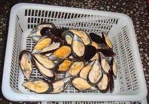 Vendita calda IQF carne di cozze nuova stagione crostacei per cucinare - Product Image 5