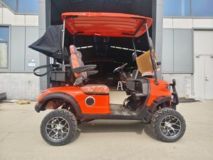Chino personalizable Puntos escénicos hoteles turísticos ferries caravanas carrito de golf de buggy eléctrico con techo de panel solar - Product Image 2