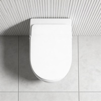 Fabricant Professionnel de Toilettes Murales Sans Cuvette pour Hôtels, Entreprises de Construction Immobilière et Distributeurs