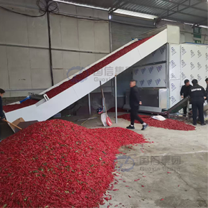 High-capacity industrial continuous chili pepper dryer High Quality chili pepper Drying Equipment dryer for Vegetable - Product Image 5