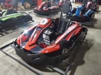 Kart de course tout-terrain buggy à essence de haute qualité 200cc/270cc/390cc pour adultes et enfants