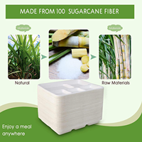 Assiettes compostables à 5 compartiments avec logo personnalisé, écologiques, jetables, en bagasse de canne à sucre, pour le déjeuner scolaire, barquettes alimentaires biodégradables