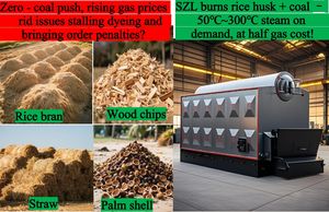 Chaudière à vapeur industrielle de granule de biomasse de charbon de tube d'eau de foi 1000-3000 rendement élevé de HP 4-50 t/h - Product Image 4