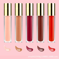 Cosmétiques OEM/ODM, petites commandes, livraison rapide, sans logo, gloss à lèvres hydratant, longue tenue, rouge à lèvres liquide imperméable