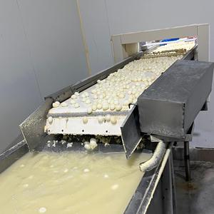 Trung Quốc chất lượng hàng đầu đóng hộp trứng cút tươi Trứng chim cút Bán buôn giá rẻ để bán - Product Image 6