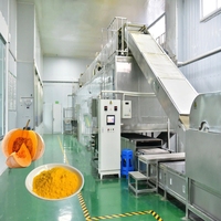 1TH ligne de production de purée de citrouille de haute qualité usine de traitement de farine de poudre de citrouille
