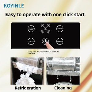 Mini tự động 220V/110V Điện bông tuyết máy nước đá CHÂU ÂU/Hàn Quốc Bingsu máy cho hộ gia đình và sử dụng ngoài trời - Product Image 6