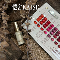Nouvel Arrivage KAISE – Kit de Vernis à Ongles Gel Waterproof Effet Œil de Chat Rubis 10 Couleurs pour Salons de Manucure, Ongles Portables et Retouches