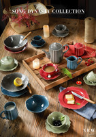 Service de table en céramique nordique bio à forme irrégulière avec glaçure réactive, assiettes et bols en porcelaine pour restaurants et hôtels modernes
