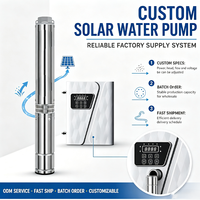 Pompa Air Tenaga Surya Stainless Steel Submersible AC/DC untuk Irigasi Pertanian Hemat Energi 35m/h 270m