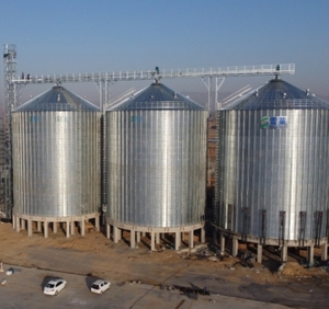 ODM silo TCK 6050T silo เหล็กเส้นก้นแบนสำหรับฟาร์ม<span class=keywords><strong>ห</strong></span>มู1000-15000ตันรับ ISO9001ได้รับการรับรอง CE - Product Image 1