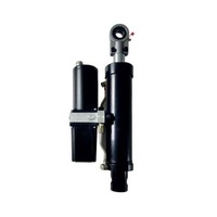 TG63S 50-300mm course camion à benne basculante tracteur chargeur 4.5T IP65 puissant électro hydraulique actionneur linéaire Push Pull Hold actionneur