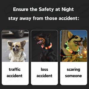 Conjunto de correa de collar LED para perro eléctrico, correa ajustable de PVC recargable y duradera para mascotas - Product Image 4